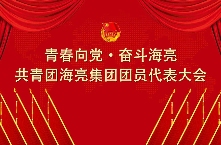 青春向党 · 奋斗j9九游国际站丨共青团j9九游国际站集团有限公司团员代表大会召开